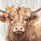 Highland Cow with a Crown of Blooms Print 100% Australian Made 60x40cm Stretched Canvas Ready to Hang