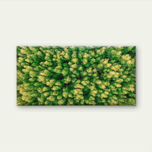 Aerial View of Green Trees Rain Forest Wall Art Canvas Office Home Room Framed 80x45cm