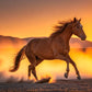 Wild Horse in Utah Desert Dust Wall Art Canvas Office Home Room Framed 120x60cm