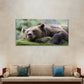 Brown Bear Grizzly Wildlife Wall Art Canvas Office Home Room Framed 80x45cm