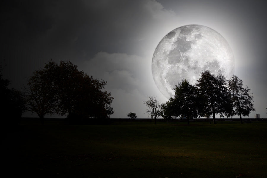 A Full Moon Shining Bright at Night Print 100% Australian Made Stretched Canvas Ready to Hang - BW-101