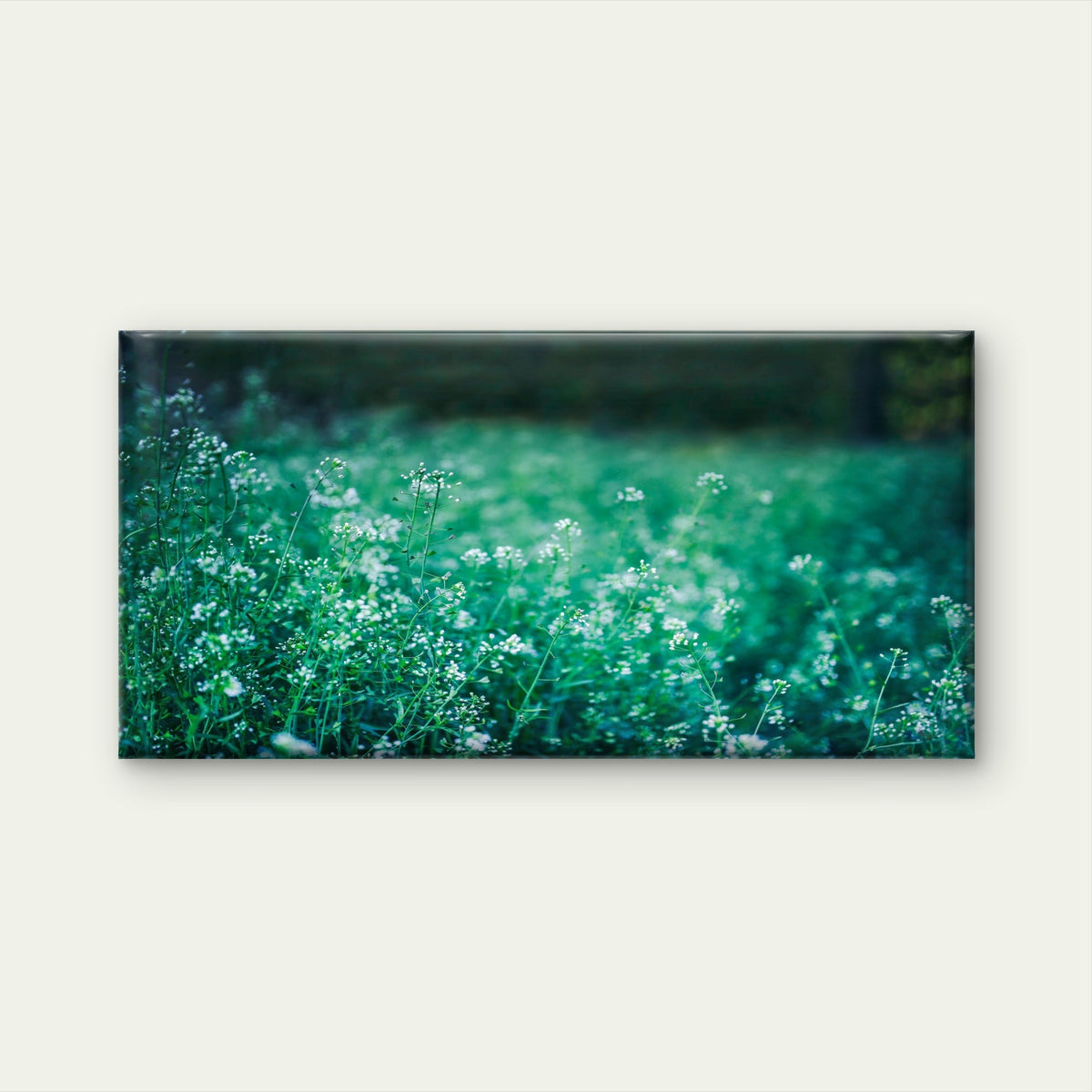 White Flowers In A Green Field Wall Art Canvas Office Home Room Framed 120x60cm