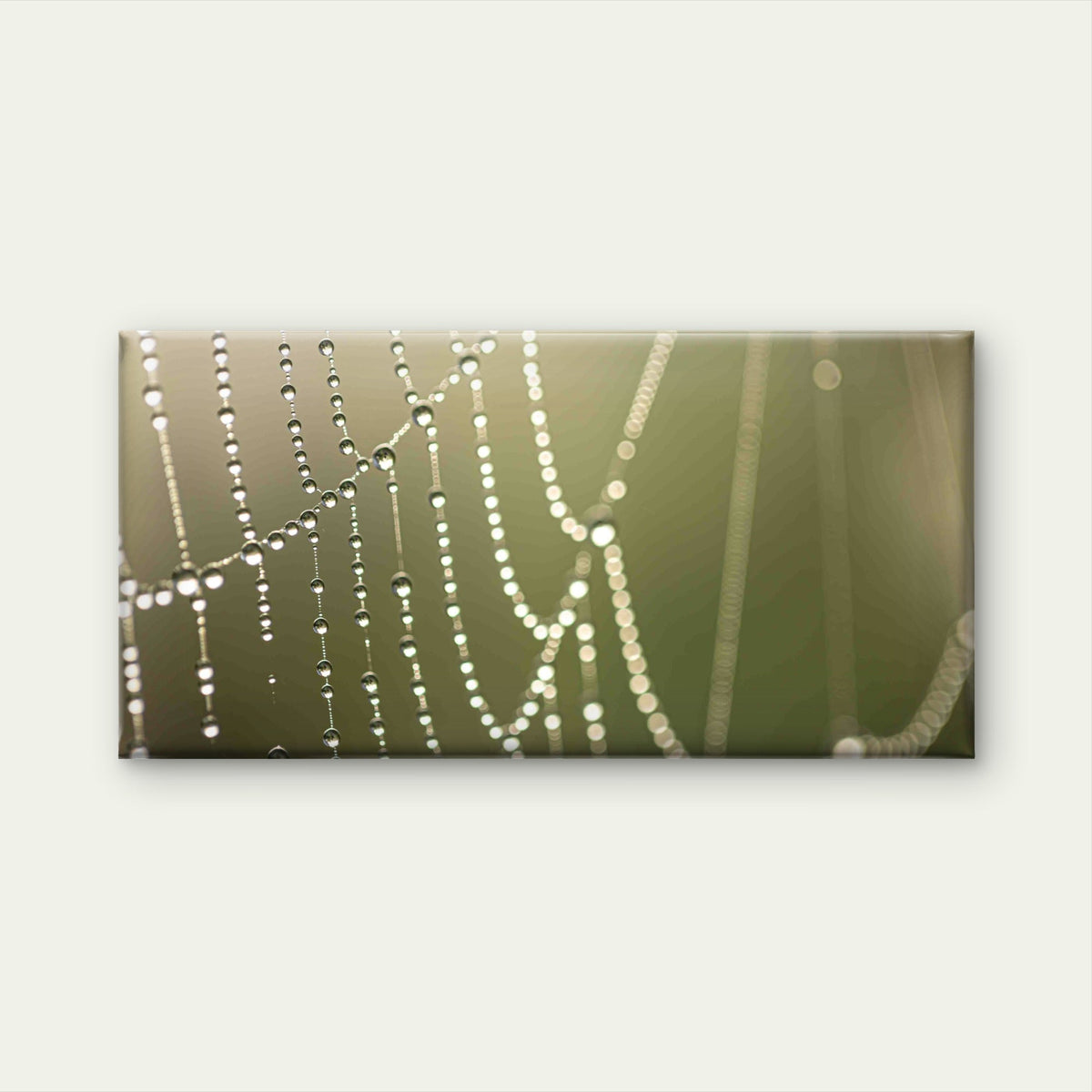 Macro View of Dewy Spider Web Wall Art Canvas Office Home Room Framed 120x60cm