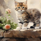 Fluffy Tabby Kitten Stone Wall Art Canvas Office Home Room Framed 120x60cm