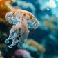 Floating Sea Jellyfish Coral Reef Wall Art Canvas Office Home Framed 120x60cm