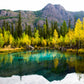 Autumn Forest & Mountains near Lake Print 100% Australian Made Stretched Canvas Ready to Hang - NT-122