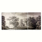 3pcs Black & White Trees Pond & Woods Metal Print Ready to Hang Art