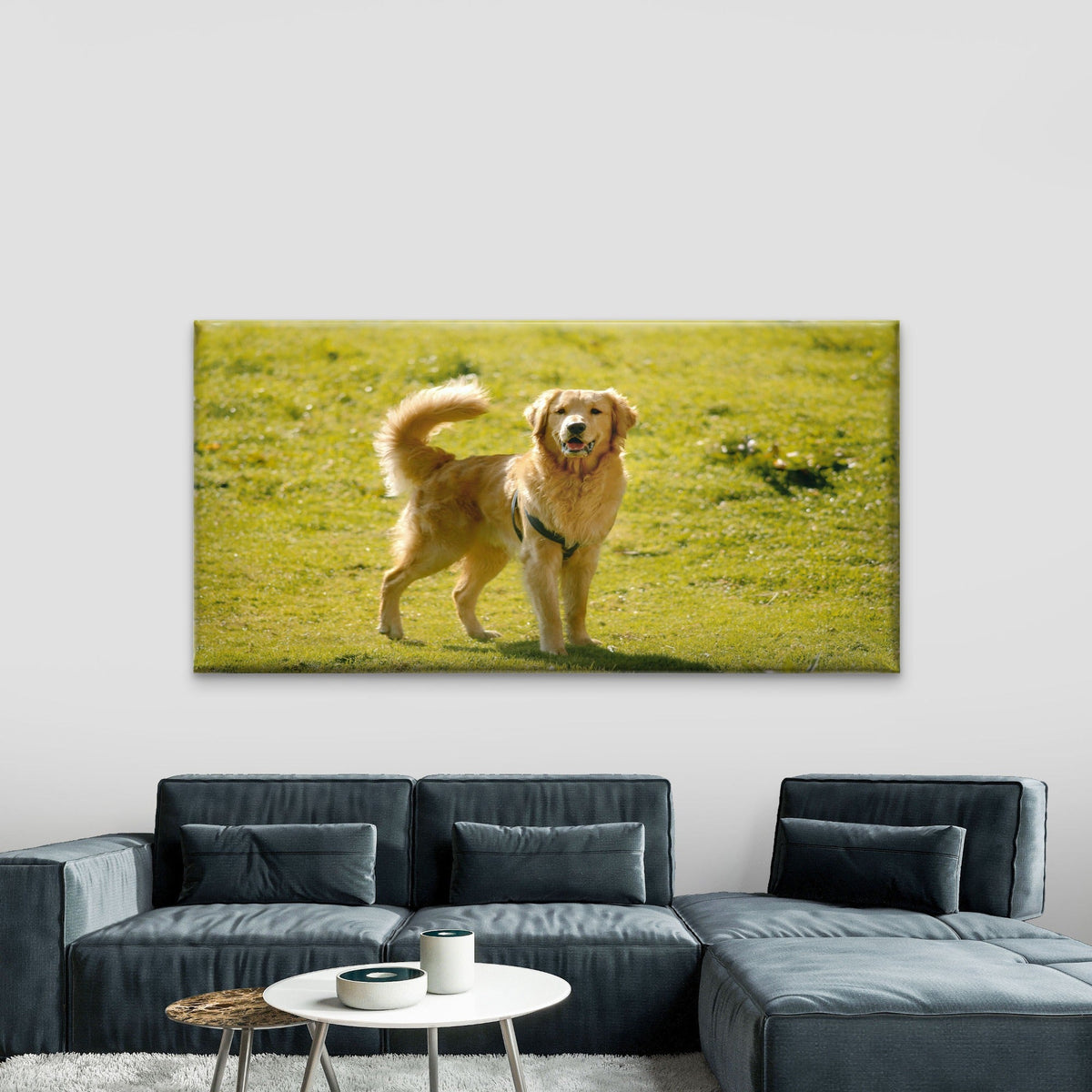 Golden Retriever In Field Wall Art Canvas Office Home Room Framed 120x60cm