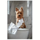 Playful Yorkshire Terrier on Toilet Print 100% Australian Made 40x60cm Stretched Canvas Ready to Hang