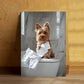 Playful Yorkshire Terrier on Toilet Print 100% Australian Made 40x60cm Stretched Canvas Ready to Hang