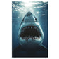 White Shark Ocean & Sunlight Print 100% Australian Made 40x60cm Stretched Canvas Ready to Hang