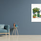 Charming Painting of a Green Door Plants Print 100% Australian Made 40x60cm Stretched Canvas Ready to Hang