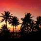 Tropical Sunset Palm Trees Wall Art Canvas Office Home Room Framed 120x60cm