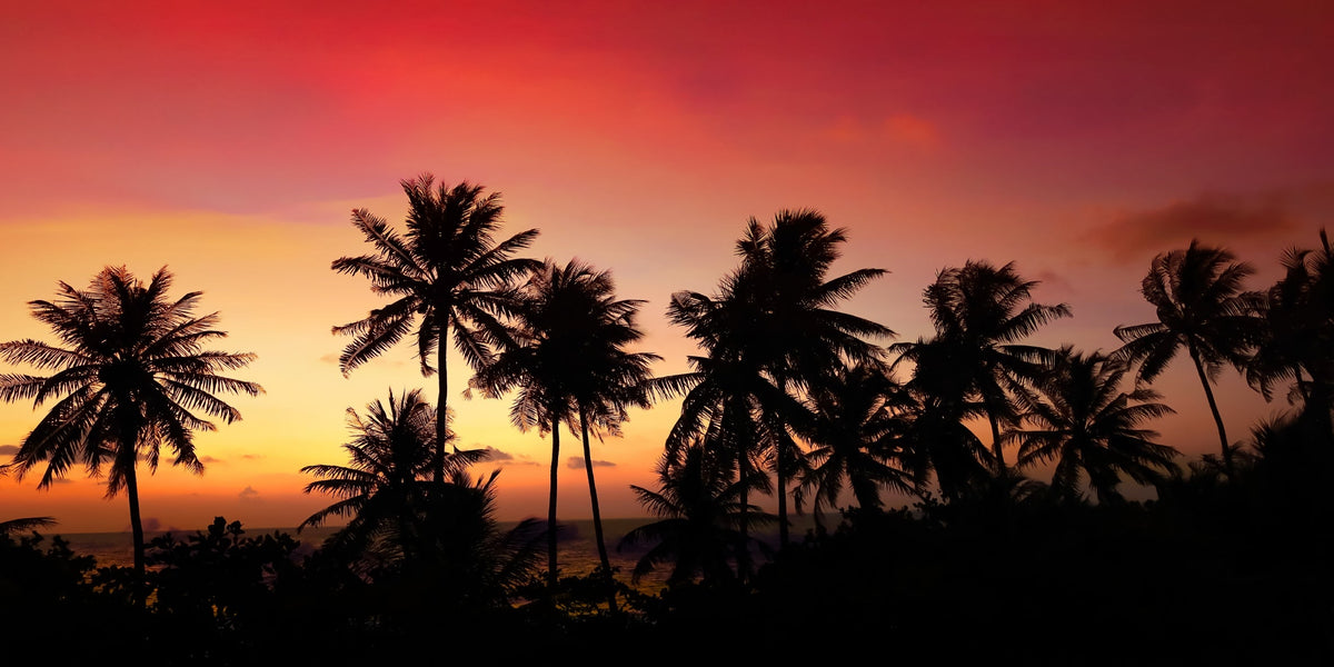 Tropical Sunset Palm Trees Wall Art Canvas Office Home Room Framed 120x60cm