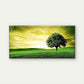 Featuring a Lone Tree Landscape Wall Art Canvas Office Home Room Framed 120x60cm