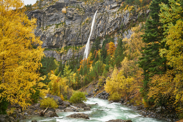 Monte Perdido National Park Trees Scenery Print 100% Australian Made Stretched Canvas Ready to Hang - NT-127