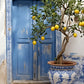 Vintage Potted Lemon Tree with Blue Door Print 100% Australian Made 40x60cm Stretched Canvas Ready to Hang