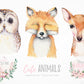 Owl Fox & Deer Painting Print 100% Australian Made Stretched Canvas Ready to Hang - NK-128