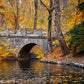 Autumn Park with Stone Bridge over Lake Print 100% Australian Made Stretched Canvas Ready to Hang - NT-128