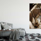 Leopard on Couch Fashion Print 100% Australian Made Stretched Canvas Ready to Hang - : FS - 116