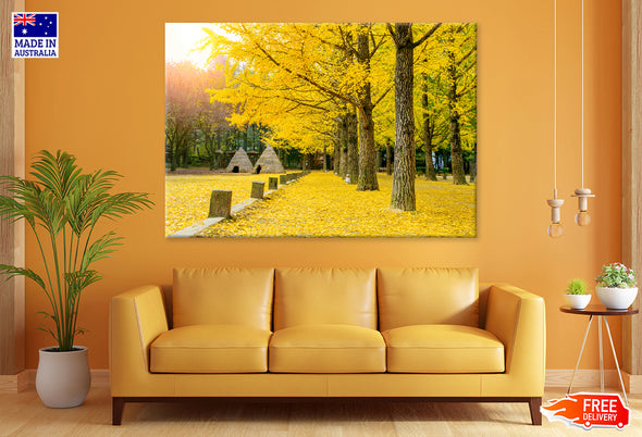 Yellow Autumn Trees in Garden Print 100% Australian Made Stretched Canvas Ready to Hang - NT-102