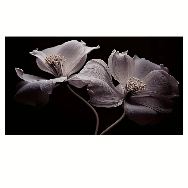 White Iron Lotus Nature Photography Print 100% Australian Made 60x40cm Stretched Canvas Ready to Hang