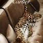 Leopard on Couch Fashion Print 100% Australian Made Stretched Canvas Ready to Hang - : FS - 116