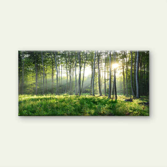Sunbeams Pierce Forest Trees Wall Art Canvas Office Home Room Framed 80x45cm