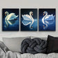 3pcs White Swan Metal Print Ready to Hang Art