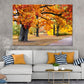 Colorful Autumn Trees in Park Print 100% Australian Made Stretched Canvas Ready to Hang - NT-130