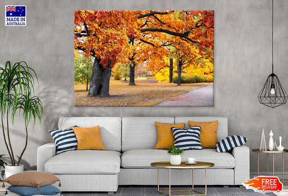 Colorful Autumn Trees in Park Print 100% Australian Made Stretched Canvas Ready to Hang - NT-130