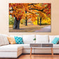 Colorful Autumn Trees in Park Print 100% Australian Made Stretched Canvas Ready to Hang - NT-130