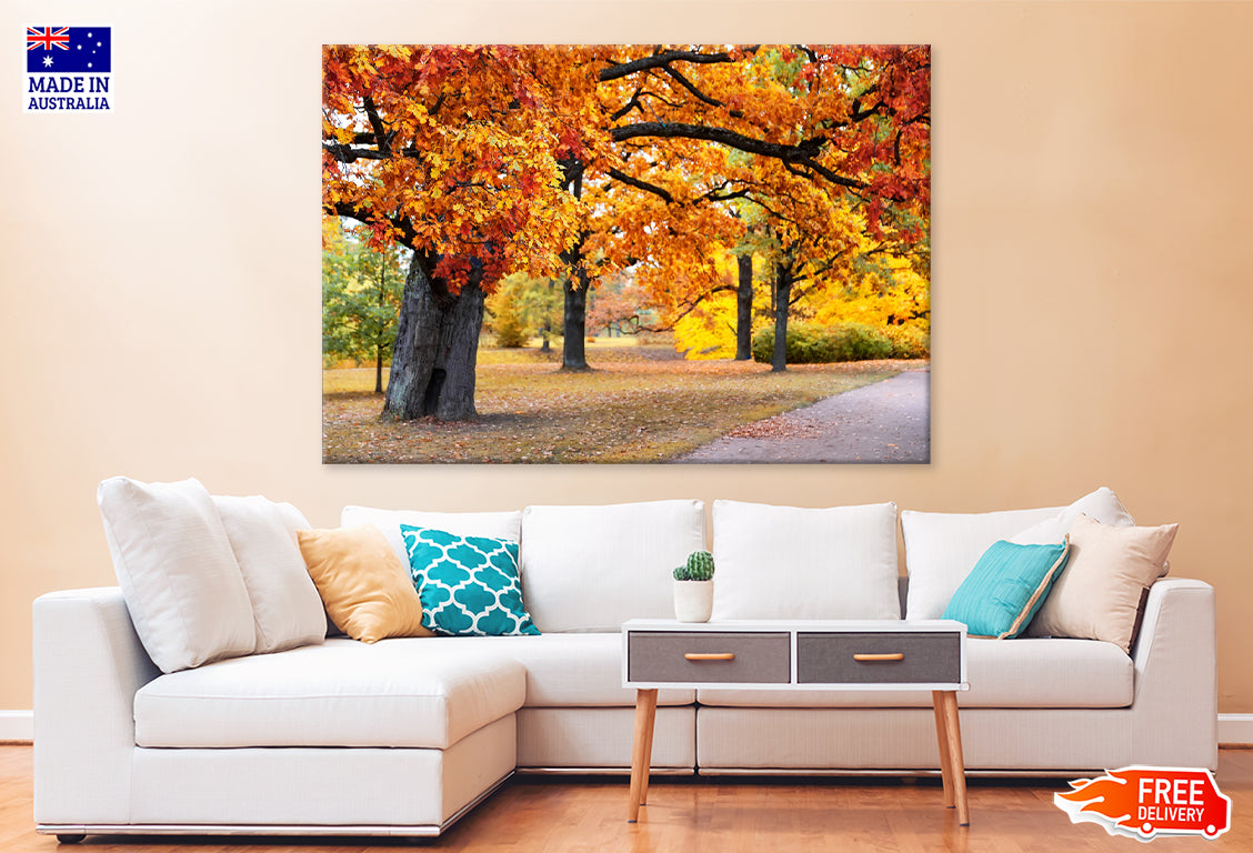 Colorful Autumn Trees in Park Print 100% Australian Made Stretched Canvas Ready to Hang - NT-130