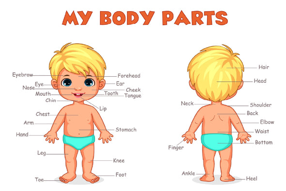 Children Body Parts Print 100% Australian Made Stretched Canvas Ready to Hang - NK-130