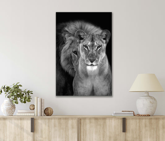 Black And White Of A Lion And Lioness Print 100% Australian Made 40x60cm Stretched Canvas Ready to Hang