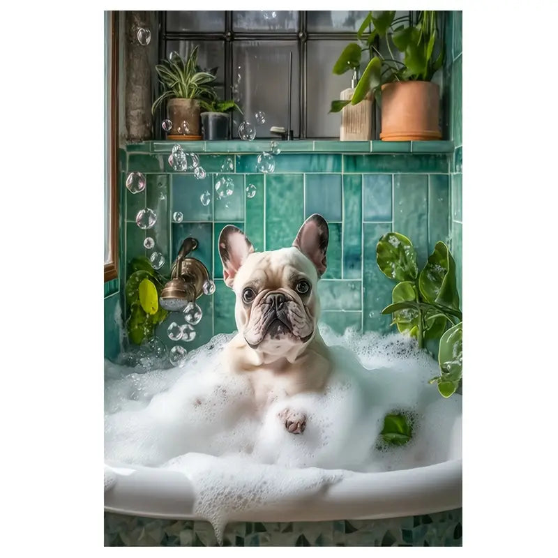 French Bulldog Bathtub Canvas Wall Art Print 100% Australian Made 40x60cm Stretched Canvas Ready to Hang