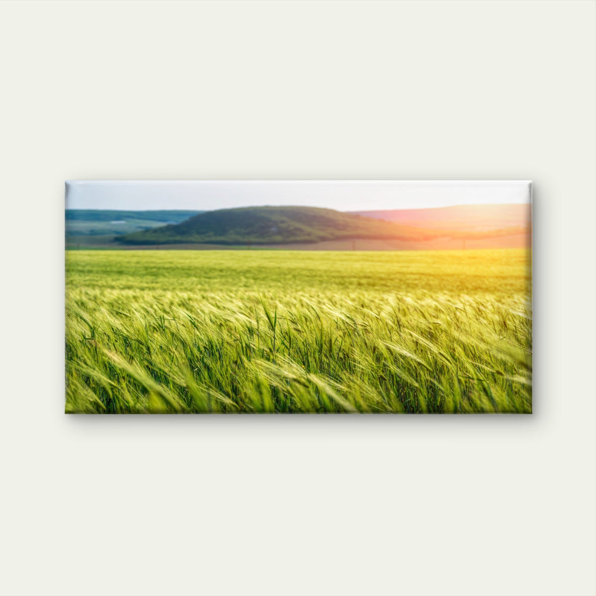 Green Wheat Field Countryside Blowing Wind Wall Art Canvas Office Home Room Framed 80x45cm