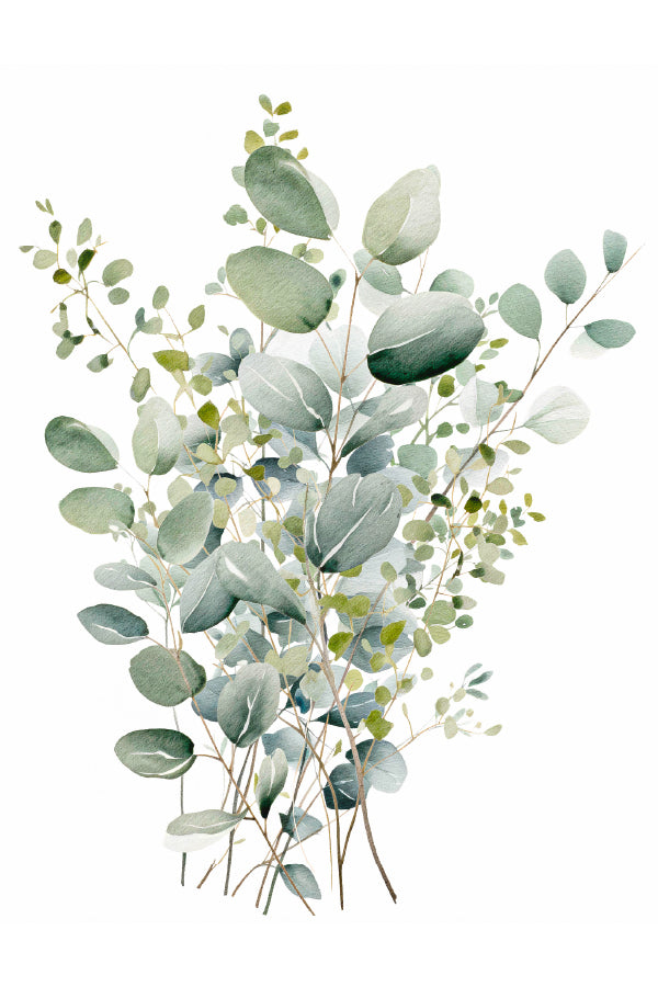 Botanical Eucalyptus Leaves Painting Print 100% Australian Made 40x60cm Stretched Canvas Ready to Hang