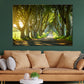 Beech Trees Covered Road View Print 100% Australian Made Stretched Canvas Ready to Hang - NT-133