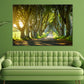 Beech Trees Covered Road View Print 100% Australian Made Stretched Canvas Ready to Hang - NT-133