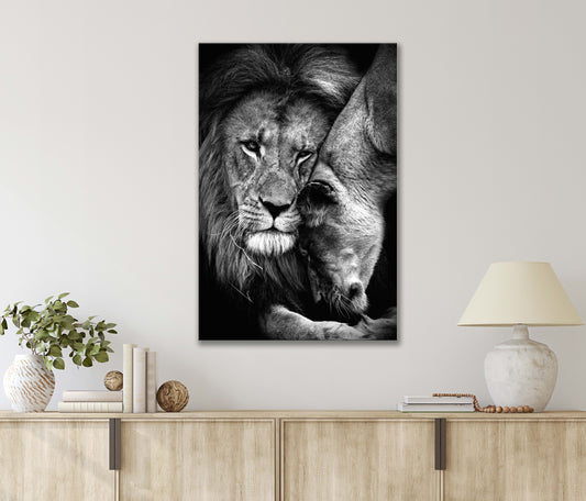 Black And White Of A Lion And Lioness Lover Print 100% Australian Made 40x60cm Stretched Canvas Ready to Hang