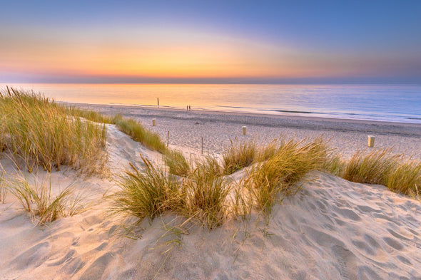 Sunset View Ocean From Dune Zeeland Print 100% Australian Made Stretched Canvas Ready to Hang - BC-136