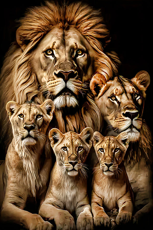 Majestic Family Group of Lions Print 100% Australian Made 40x60cm Stretched Canvas Ready to Hang