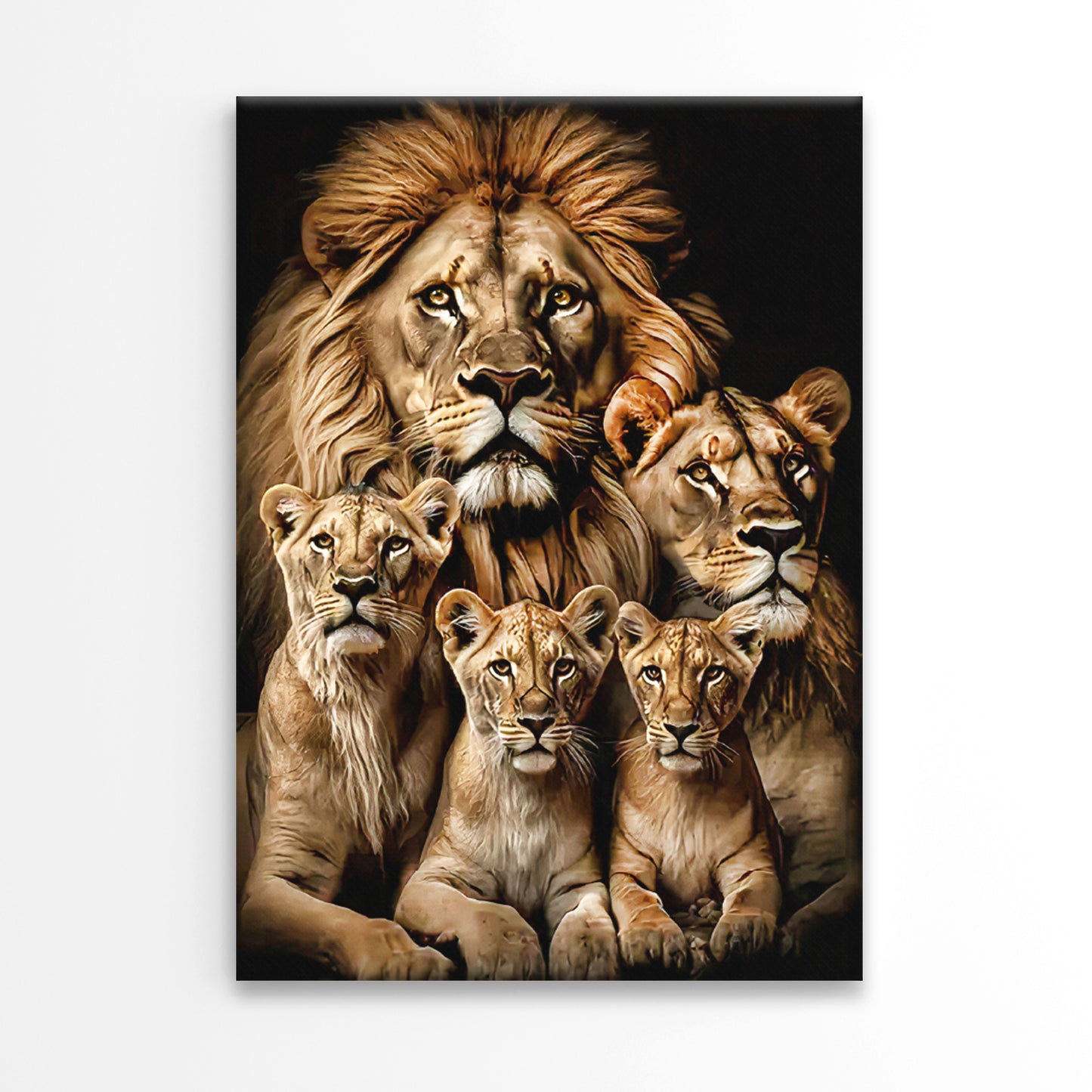 Majestic Family Group of Lions Print 100% Australian Made 40x60cm Stretched Canvas Ready to Hang