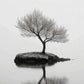 Gloomy Lone Tree on An Island Lake Print 100% Australian Made 40x60cm Stretched Canvas Ready to Hang