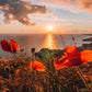 Poppies Spring Sea with Sunset Sky Coastline Wall Art Canvas Office Home Room Framed 80x45cm