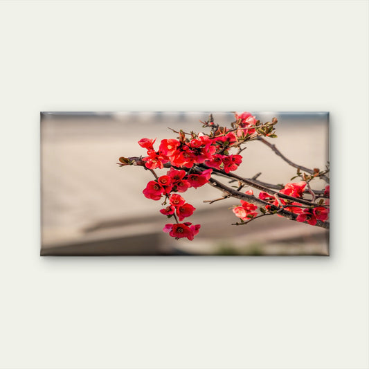 Red Japanese Quince Maules Flower Blooming Wall Art Canvas Office Home Room Framed 120x60cm