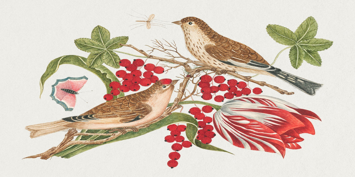 Antique Songbird Floral Study Wall Art Canvas Office Home Room Framed 120x60cm