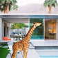 Giraffe Near Pool Fashion Design Print 100% Australian Made Stretched Canvas Ready to Hang -  FS - 117