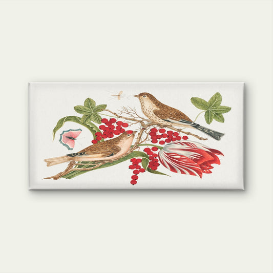 Antique Songbird Floral Study Wall Art Canvas Office Home Room Framed 80x45cm